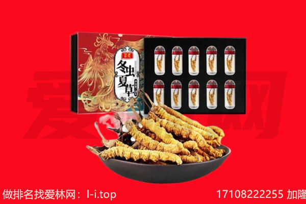 濮阳南乐县回收虫草.jpg